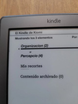 Amazon Kindle D01100 E-reader Negro