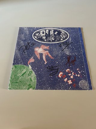 The Almighty Soul Destruction lp in vinile