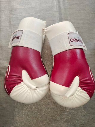 Guantes de Boxeo Senshido Talla S
