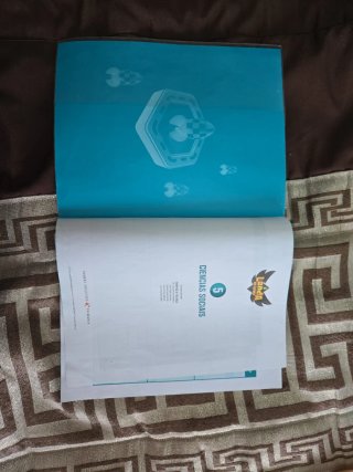 Libro ciencias sociais edelvives 5 primaria