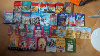 Lote de libros juveniles Geronimo Stilton, etc