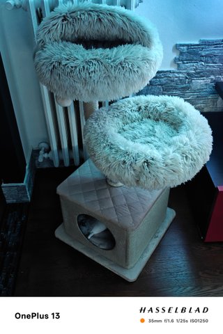 Cuccia per gatti beige/grigia