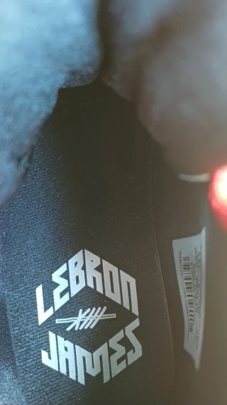 Zapatillas Nike LeBron Rojas Talla [Talla]