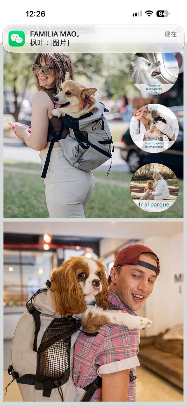 Mochila para Transporte de Perros talla L