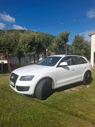 Audi Q5 2010