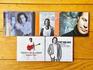 CDs Terry Wollman Smooth Jazz Fusion