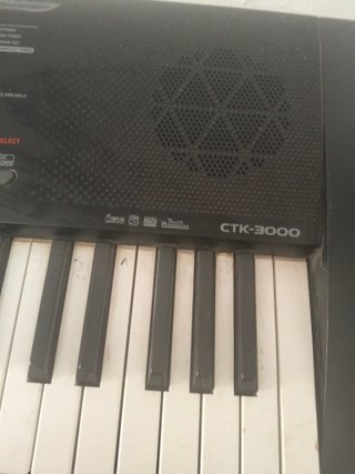 Teclado Casio CTK-3000