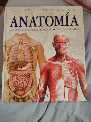 Atlas ilustrado de anatomía