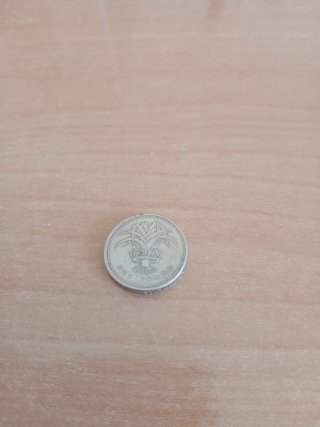 Moneda de 1 Libra