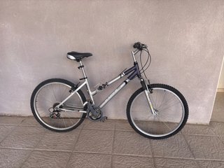 Bicicleta de montaña plateada