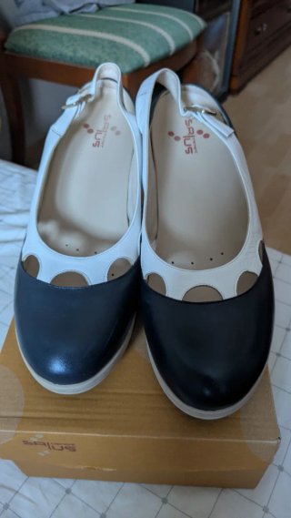 Zapatos Salius bicolor