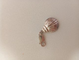 Charm de Plata Mariquita