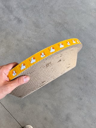 Cama rascador para gato con diseño