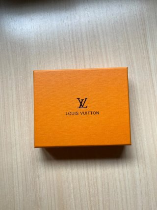 Cartera Louis Vuitton Negra y Gris