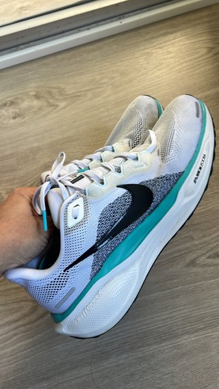 Zapatillas Nike Pegasus 41 Talla 43