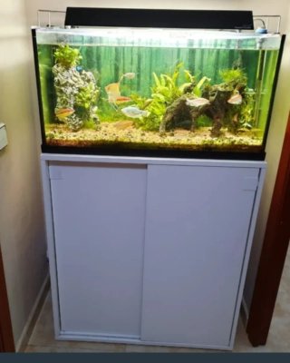 Acuario con Mueble