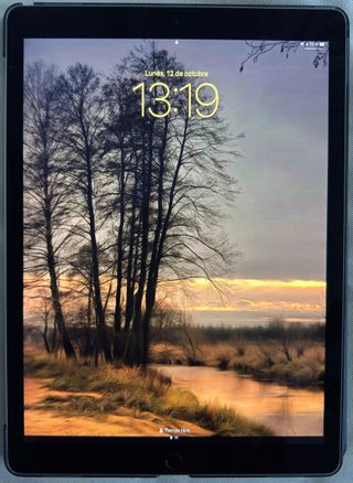 iPad Pro 12.9 pollici (2a Gen 2017) 512 Gb