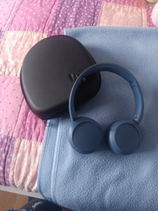Auriculares de diadema inalámbricos - Sony