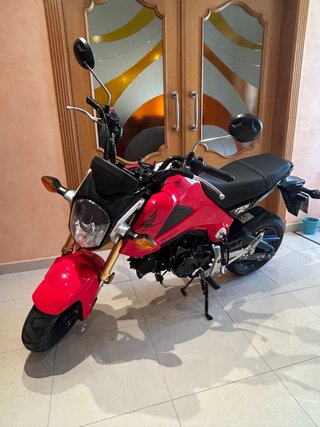 Honda MSX 125 Roja (SE ACEPTAN CAMBIOS)