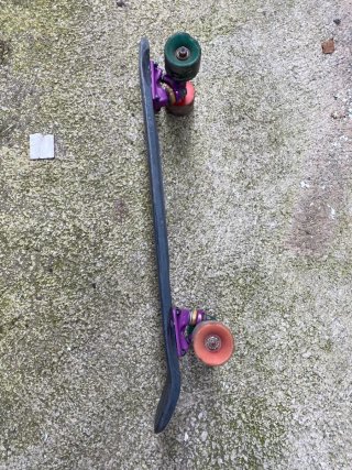 Skate gris