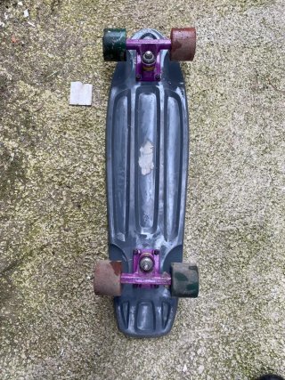 Skate gris