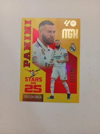 Panini Stars on 25 - 11 cromos diferentes MGK