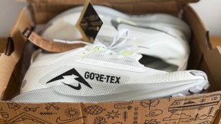 Zapatillas Nike Pegasus Trail 5 GTX. Último precio