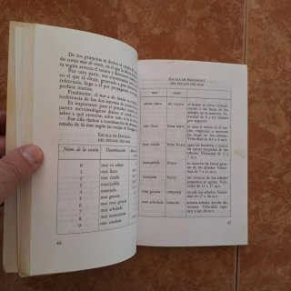 100 trucos del pescador de mar