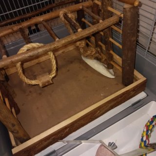 Jaula para pájaros cómoda