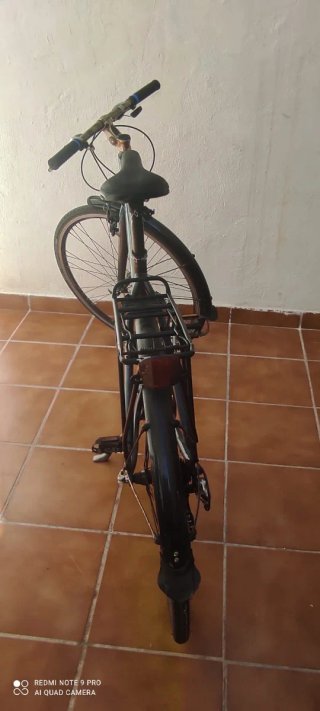 Bicicleta Crescent Urbana
