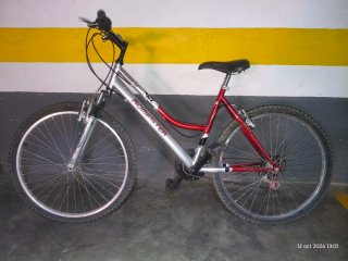 Bicicleta de Montaña Romester