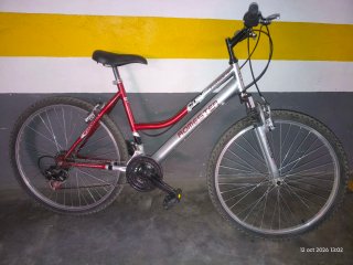 Bicicleta de Montaña Romester