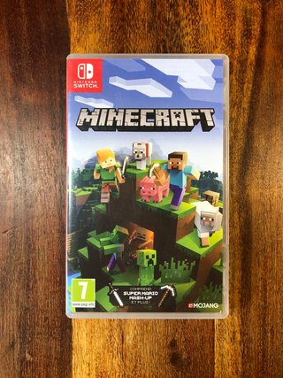 Minecraft Switch