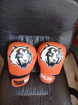 Guantes de Boxeo Muay Thai Naranjas