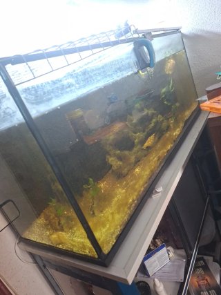 Acuario 360L