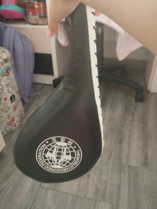Meet taekwondo