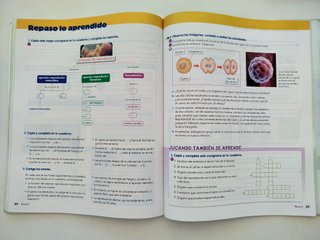 Naturales, 6 Educación Primaria, Comunidad de M...