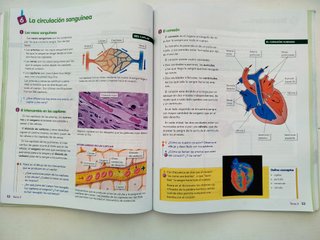 Naturales, 6 Educación Primaria, Comunidad de M...