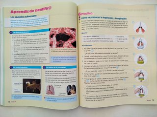 Naturales, 6 Educación Primaria, Comunidad de M...