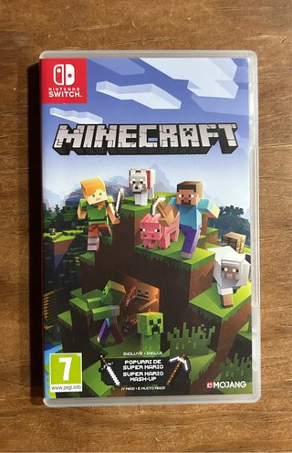 Minecraft Nintendo Switch