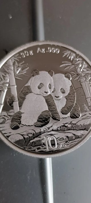 Moneda Panda China 2026 30g Plata