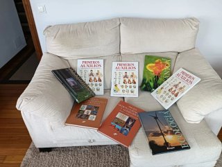 Lote de libros