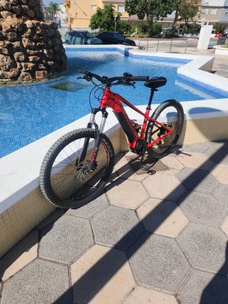 Bicicleta Eléctrica Orbea Wild 2020