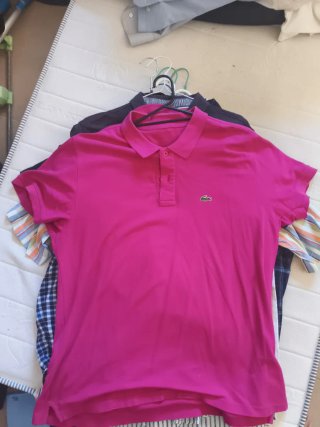 Polo Lacoste Rosa