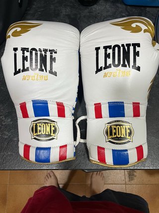Guantes Leone Muay Thai 14oz