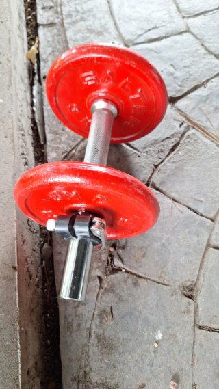 Mancuerna Salter completa original Roja