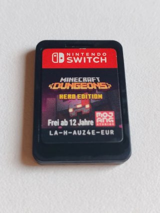 Minecraft Dungeons Hero Edition Switch