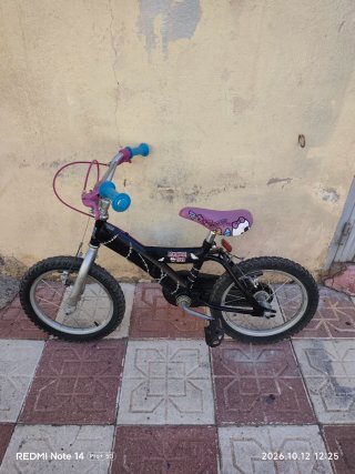 Bicicleta Infantil Monster High