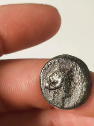 Moneda Griega de Soloi Pompeiopolis en Cilicia