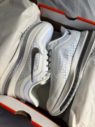 Nike Pegasus Premium Plata/Blanco